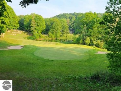 Custom-built home featuring a new roof, skylights, AC, and on  in Michigan - for sale on GolfHomes.com, golf home, golf lot