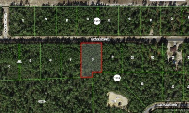 Build your dream home on this beautiful 1.10 acre homesite in on Pine Ridge Community Golf and Country Club in Florida - for sale on GolfHomes.com, golf home, golf lot