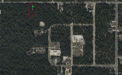 Build your dream home on this beautiful 1.10 acre homesite in on Pine Ridge Community Golf and Country Club in Florida - for sale on GolfHomes.com, golf home, golf lot