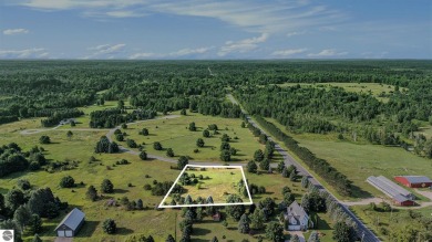 1-acre lot located on a quiet cul-de-sac just minutes from on The Briar South At Lakewood in Michigan - for sale on GolfHomes.com, golf home, golf lot