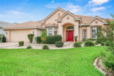 Look no further than this lovely home in the beautiful Terra on Skyview At Terra Vista Golf and Country Club in Florida - for sale on GolfHomes.com, golf home, golf lot
