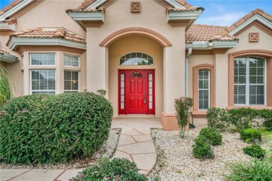Look no further than this lovely home in the beautiful Terra on Skyview At Terra Vista Golf and Country Club in Florida - for sale on GolfHomes.com, golf home, golf lot
