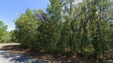 Looking for the perfect spot to build your dream home? This on Sugarmill Woods Golf and Country Club in Florida - for sale on GolfHomes.com, golf home, golf lot