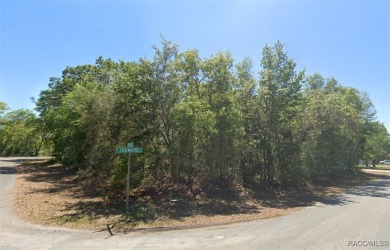 Looking for the perfect spot to build your dream home? This on Sugarmill Woods Golf and Country Club in Florida - for sale on GolfHomes.com, golf home, golf lot