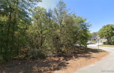 Looking for the perfect spot to build your dream home? This on Sugarmill Woods Golf and Country Club in Florida - for sale on GolfHomes.com, golf home, golf lot