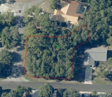 Looking for the perfect spot to build your dream home? This on Sugarmill Woods Golf and Country Club in Florida - for sale on GolfHomes.com, golf home, golf lot