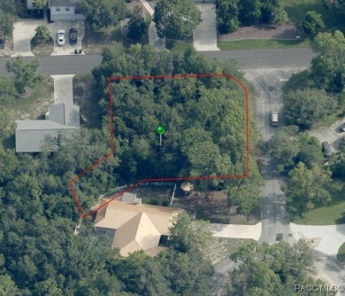 Looking for the perfect spot to build your dream home? This on Sugarmill Woods Golf and Country Club in Florida - for sale on GolfHomes.com, golf home, golf lot