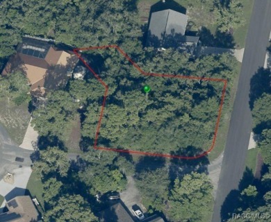 Looking for the perfect spot to build your dream home? This on Sugarmill Woods Golf and Country Club in Florida - for sale on GolfHomes.com, golf home, golf lot