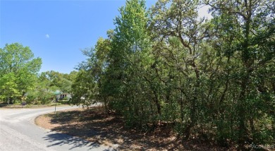 Looking for the perfect spot to build your dream home? This on Sugarmill Woods Golf and Country Club in Florida - for sale on GolfHomes.com, golf home, golf lot