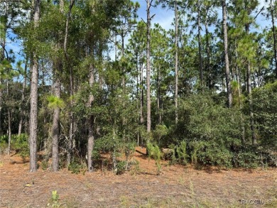 Nice .23-acre buildable lot in the desirable community of Citrus on Pine Ridge Community Golf and Country Club in Florida - for sale on GolfHomes.com, golf home, golf lot