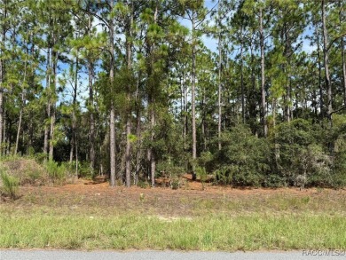 Nice .23-acre buildable lot in the desirable community of Citrus on Pine Ridge Community Golf and Country Club in Florida - for sale on GolfHomes.com, golf home, golf lot