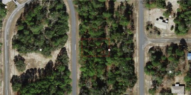 Nice .23-acre buildable lot in the desirable community of Citrus on Pine Ridge Community Golf and Country Club in Florida - for sale on GolfHomes.com, golf home, golf lot