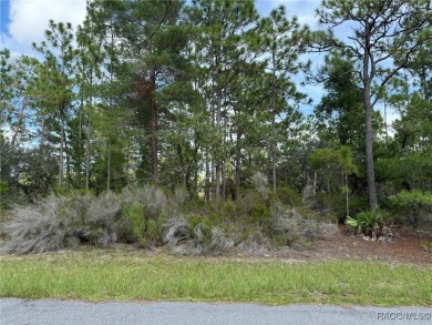 Nice .23-acre lot in the growing community of Citrus Springs! on Pine Ridge Community Golf and Country Club in Florida - for sale on GolfHomes.com, golf home, golf lot