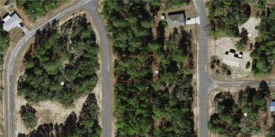 Nice .23-acre lot in the growing community of Citrus Springs! on Pine Ridge Community Golf and Country Club in Florida - for sale on GolfHomes.com, golf home, golf lot