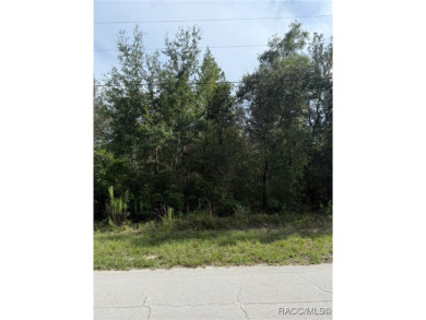 Great opportunity to own a .23-acre buildable lot in the growing on Citrus Springs Country Club in Florida - for sale on GolfHomes.com, golf home, golf lot