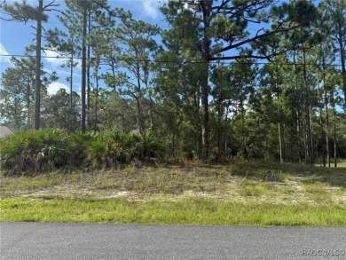 Nice .23-acre buildable lot located in the desirable community on Citrus Springs Country Club in Florida - for sale on GolfHomes.com, golf home, golf lot