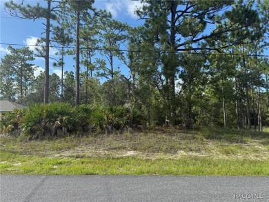 Nice .23-acre buildable lot located in the desirable community on Citrus Springs Country Club in Florida - for sale on GolfHomes.com, golf home, golf lot