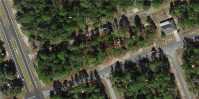 Nice .23-acre buildable lot located in the desirable community on Citrus Springs Country Club in Florida - for sale on GolfHomes.com, golf home, golf lot