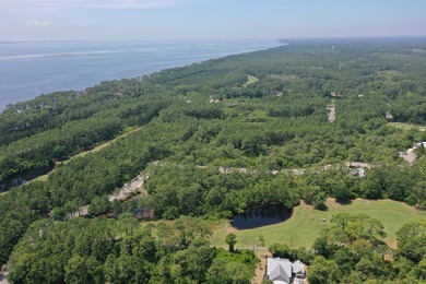 Presenting TWO contiguous lots (Lots 130 & 134) nestled within on St. James Bay in Florida - for sale on GolfHomes.com, golf home, golf lot