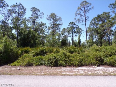 This lot is in Tropical Gulf Acres this is a great place to on Seminole Lakes Country Club in Florida - for sale on GolfHomes.com, golf home, golf lot