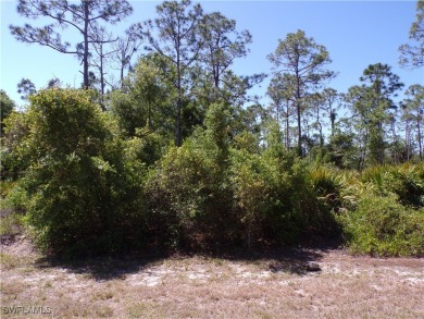 This lot is in Tropical Gulf Acres this is a great place to on Seminole Lakes Country Club in Florida - for sale on GolfHomes.com, golf home, golf lot