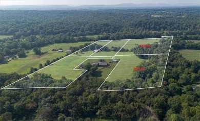 Are you dreaming of living in a community with a neighborhood on Blessings Golf Club in Arkansas - for sale on GolfHomes.com, golf home, golf lot