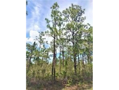 For Sale: One-half acre buildable lot with access to beautiful on Indian Lake Estates Golf and Country Club in Florida - for sale on GolfHomes.com, golf home, golf lot
