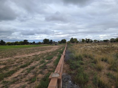 Unobstructed views of the colorful bosque & never ending mind on Tierra Del Sol Golf Course in New Mexico - for sale on GolfHomes.com, golf home, golf lot