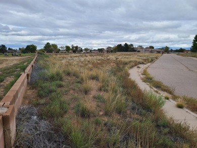 Unobstructed views of the colorful bosque & never ending mind on Tierra Del Sol Golf Course in New Mexico - for sale on GolfHomes.com, golf home, golf lot