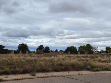 Unobstructed views of the colorful bosque & never ending mind on Tierra Del Sol Golf Course in New Mexico - for sale on GolfHomes.com, golf home, golf lot