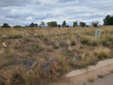 Unobstructed views of the colorful bosque & never ending mind on Tierra Del Sol Golf Course in New Mexico - for sale on GolfHomes.com, golf home, golf lot