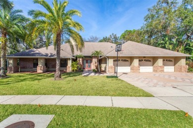 Luxury Pool Home with Modern Upgrades in Gated Deerpath on East Lake Woodlands Country Club in Florida - for sale on GolfHomes.com, golf home, golf lot