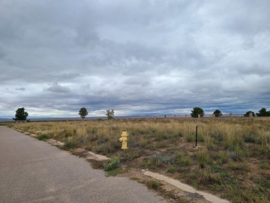 Unobstructed views of the colorful bosque & never ending mind on Tierra Del Sol Golf Course in New Mexico - for sale on GolfHomes.com, golf home, golf lot