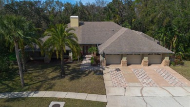 Luxury Pool Home with Modern Upgrades in Gated Deerpath on East Lake Woodlands Country Club in Florida - for sale on GolfHomes.com, golf home, golf lot