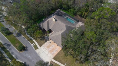 Luxury Pool Home with Modern Upgrades in Gated Deerpath on East Lake Woodlands Country Club in Florida - for sale on GolfHomes.com, golf home, golf lot