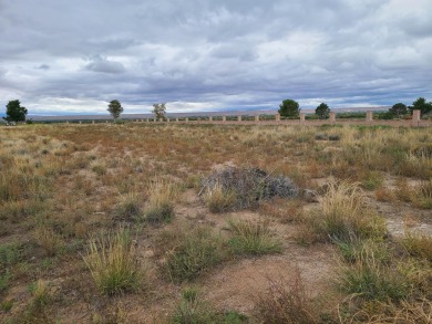 Unobstructed views of the colorful bosque & never ending mind on Tierra Del Sol Golf Course in New Mexico - for sale on GolfHomes.com, golf home, golf lot