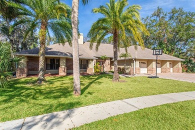 Luxury Pool Home with Modern Upgrades in Gated Deerpath on East Lake Woodlands Country Club in Florida - for sale on GolfHomes.com, golf home, golf lot