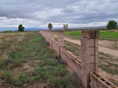 Unobstructed views of the colorful bosque & never ending mind on Tierra Del Sol Golf Course in New Mexico - for sale on GolfHomes.com, golf home, golf lot