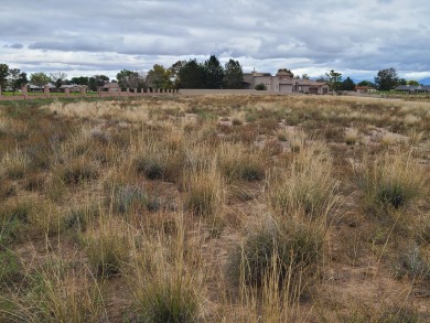 Unobstructed views of the colorful bosque & never ending mind on Tierra Del Sol Golf Course in New Mexico - for sale on GolfHomes.com, golf home, golf lot