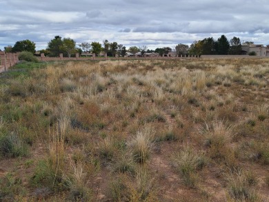 Unobstructed views of the colorful bosque & never ending mind on Tierra Del Sol Golf Course in New Mexico - for sale on GolfHomes.com, golf home, golf lot