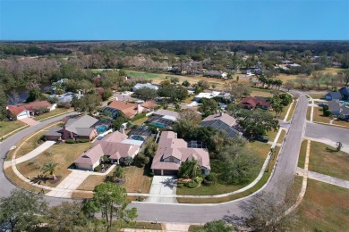 Situated in the East Lake Woodlands 1700 acre gated community on East Lake Woodlands Country Club in Florida - for sale on GolfHomes.com, golf home, golf lot