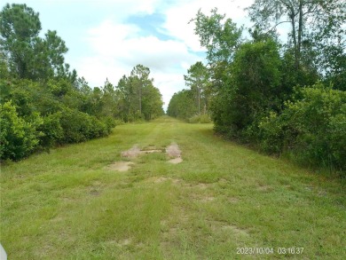 Build your dream home  in this fantastic Polk County up and on Indian Lake Estates Golf and Country Club in Florida - for sale on GolfHomes.com, golf home, golf lot