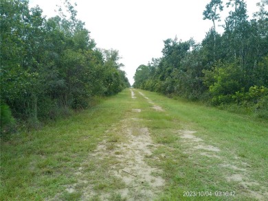 Build your dream home  in this fantastic Polk County up and on Indian Lake Estates Golf and Country Club in Florida - for sale on GolfHomes.com, golf home, golf lot