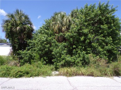 This lot is on a quiet street that would be a great place to on Twin Isles Country Club in Florida - for sale on GolfHomes.com, golf home, golf lot