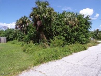 This lot is on a quiet street that would be a great place to on Twin Isles Country Club in Florida - for sale on GolfHomes.com, golf home, golf lot