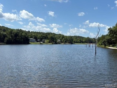 Lake Front Lot on Almost 1/2 Acre Lot on Small Private Lake on Raintree Country Club in Missouri - for sale on GolfHomes.com, golf home, golf lot