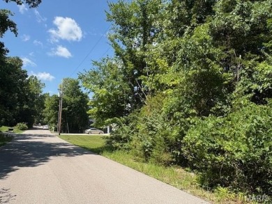 Lake Front Lot on Almost 1/2 Acre Lot on Small Private Lake on Raintree Country Club in Missouri - for sale on GolfHomes.com, golf home, golf lot