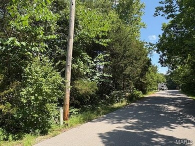 Lake Front Lot on Almost 1/2 Acre Lot on Small Private Lake on Raintree Country Club in Missouri - for sale on GolfHomes.com, golf home, golf lot