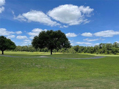 Welcome to this nearly new home located in the beautiful on Harmony Golf Preserve in Florida - for sale on GolfHomes.com, golf home, golf lot