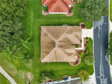 Golf Course location with panoramic views to a tree lined area on Eagle Ridge At Spruce Creek Country Club in Florida - for sale on GolfHomes.com, golf home, golf lot